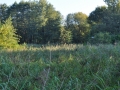 DSC_3001-r51.jpg