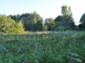 DSC_3002-r51.jpg