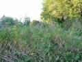 DSC_3007-r51.jpg