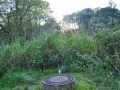 DSC_3008-r51.jpg