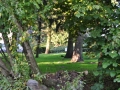 DSC_3009-r51.jpg
