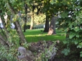 DSC_3010-r51.jpg