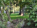 DSC_3011-r51.jpg