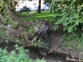 DSC_3012-r51.jpg