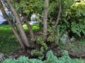 DSC_3013-r51.jpg