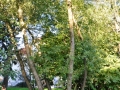 DSC_3014-r51.jpg
