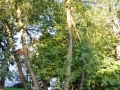 DSC_3015-r51.jpg