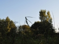DSC_3029-r51.jpg