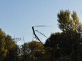 DSC_3030-r51.jpg