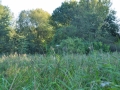 DSC_3031-r51.jpg