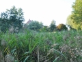 DSC_3033-r51.jpg