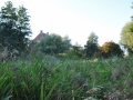 DSC_3034-r51.jpg