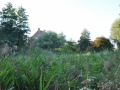 DSC_3035-r51.jpg