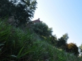 DSC_3036-r51.jpg
