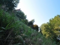 DSC_3037-r51.jpg