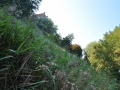 DSC_3038-r51.jpg