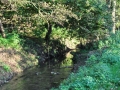 DSC_3039-r51.jpg