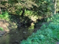 DSC_3040-r51.jpg