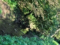 DSC_3041-r51.jpg