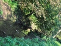 DSC_3042-r51.jpg