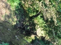 DSC_3043-r51.jpg