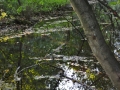 DSC_3053-r51.jpg