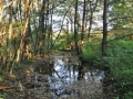 DSC_3059-r51.jpg