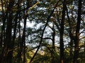 DSC_3063-r51.jpg