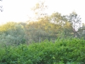 DSC_3064-r51.jpg
