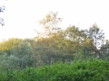 DSC_3065-r51.jpg