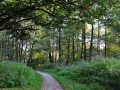 DSC_3069-r51.jpg