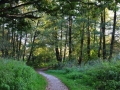 DSC_3070-r51.jpg