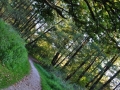 DSC_3071-r51.jpg