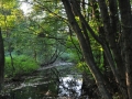 DSC_3072-r51.jpg