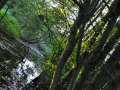 DSC_3073-r51.jpg