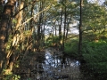 DSC_3075-r51.jpg
