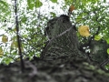 DSC_3110-r51.jpg