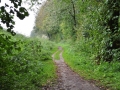 DSC_3111-r51.jpg