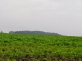 DSC_3113-r51.jpg