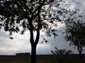 DSC_3115-r51.jpg