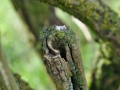 DSC_3118-r51.jpg