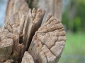 DSC_3120-r51.jpg