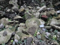 DSC_3123-r51.jpg