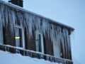 DSC_3341-r51.jpg