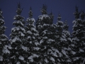 DSC_3359-r51.jpg