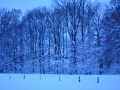 DSC_3374-r51.jpg
