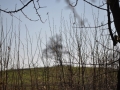 DSC_3486-r51.jpg
