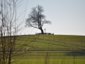 DSC_3488-r51.jpg