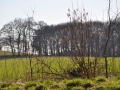 DSC_3489-r51.jpg