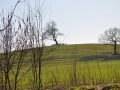DSC_3491-r51.jpg